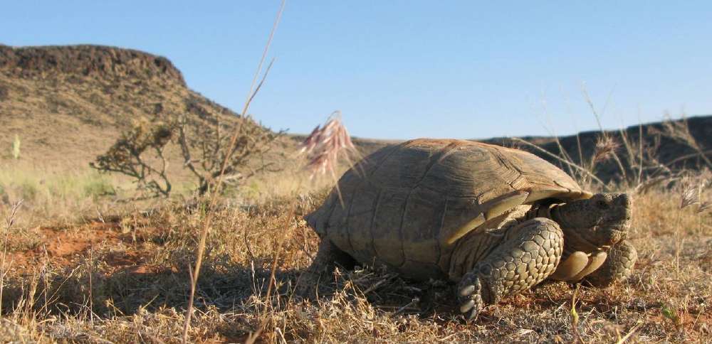 6 groups sue feds over decision to reapprove Washington County highway plan
