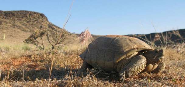 6 groups sue feds over decision to reapprove Washington County highway plan