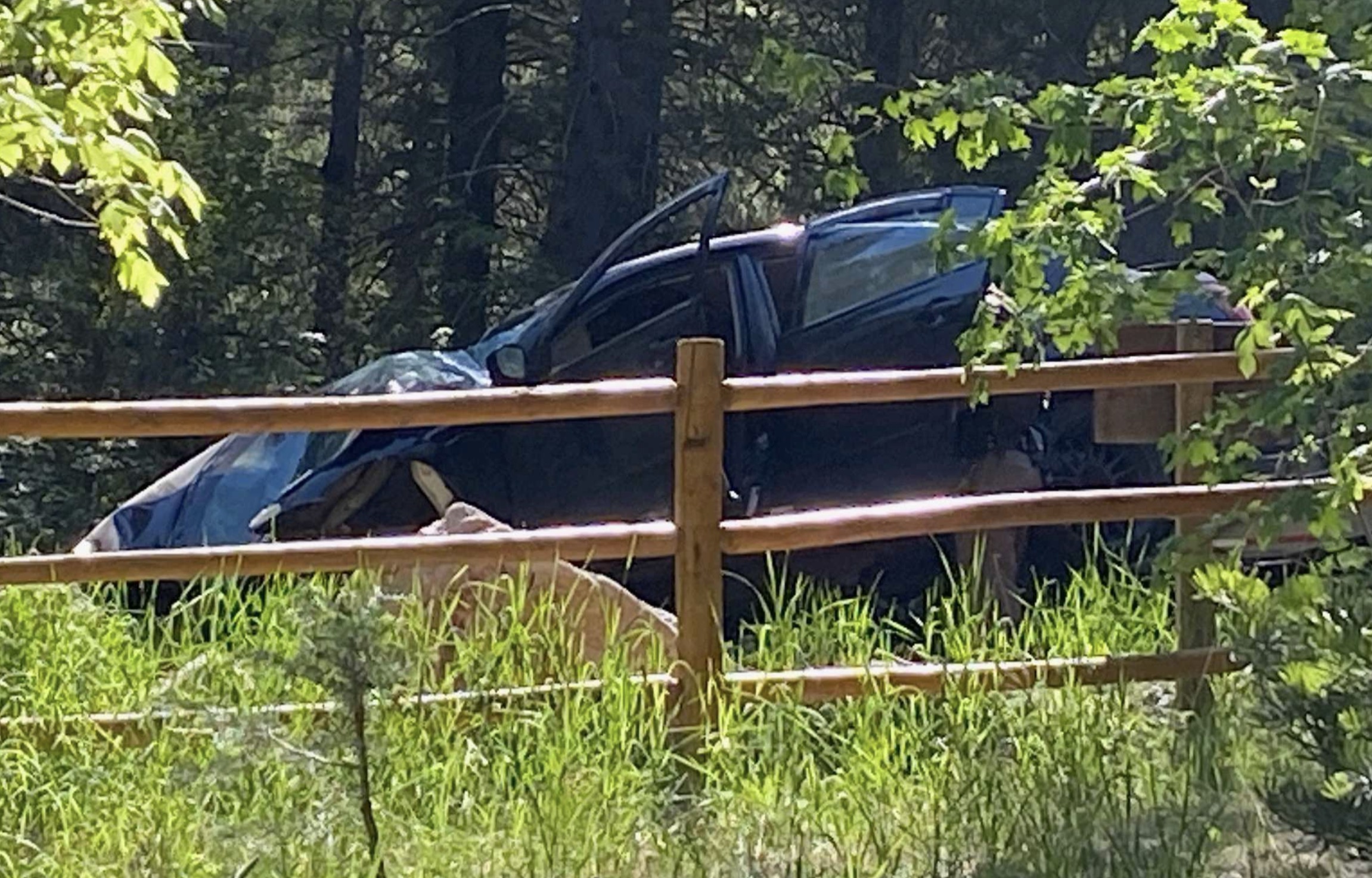 Two people are in critical condition after a car crashed into a tree along the scenic Alpine Loop road Saturday, June 5, 2021, authorities say.