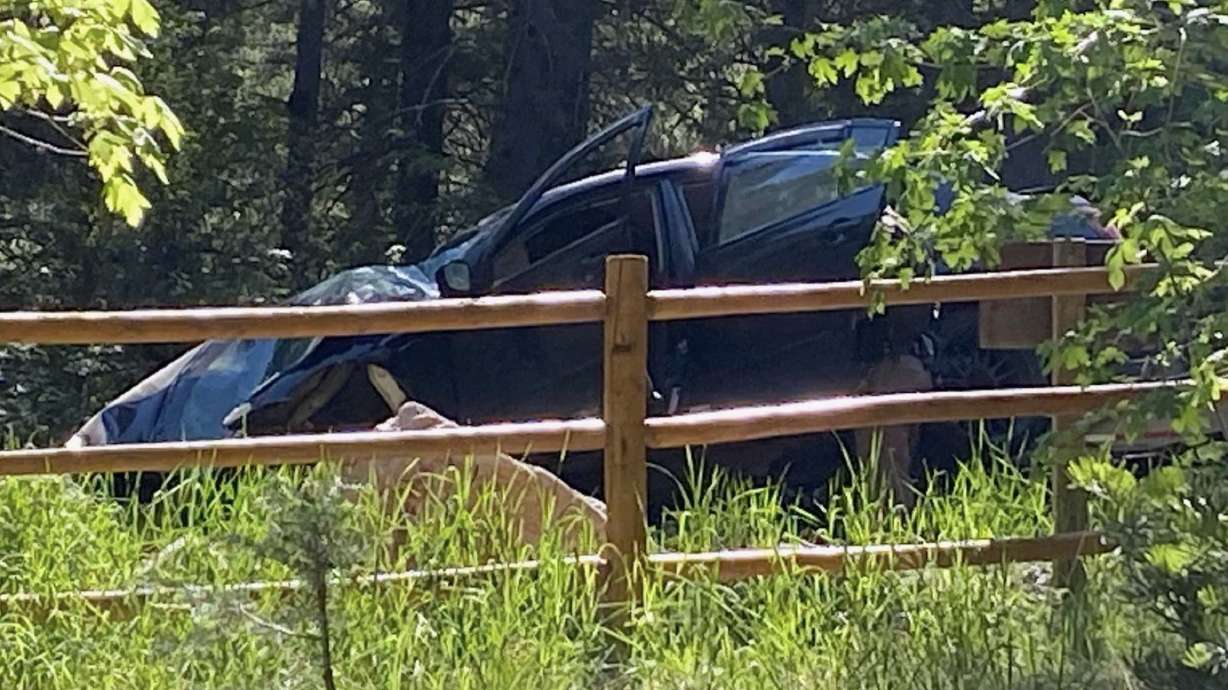 Two people are in critical condition after a car crashed into a tree along the scenic Alpine Loop road Saturday, June 5, 2021, authorities say.