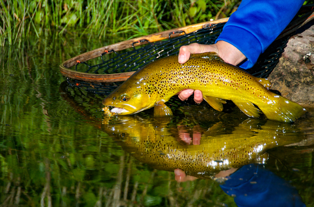 Utah Adventures with Maverik: 6 things to do in Utah's northeast corner