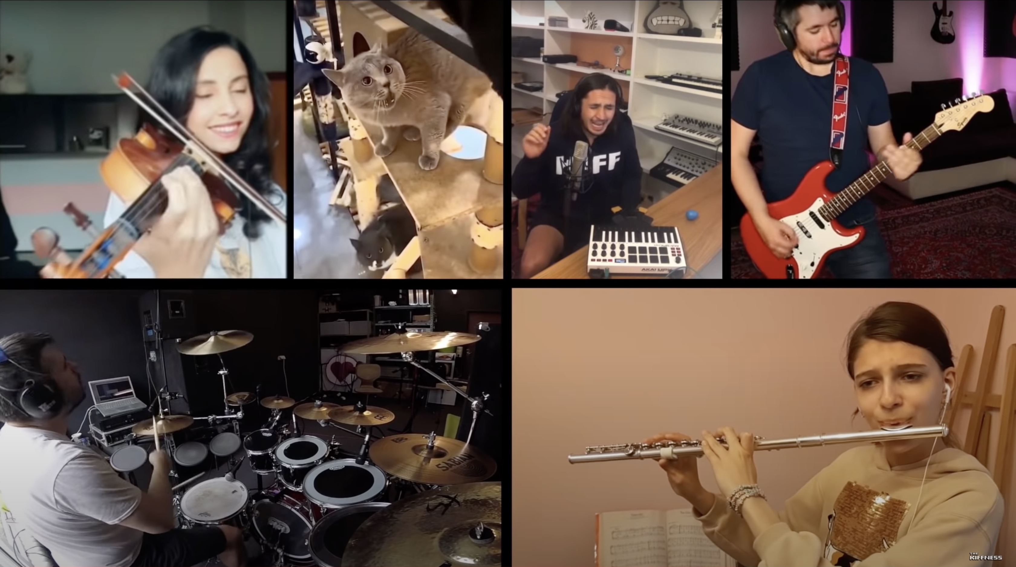 Have you seen this? Six musicians worldwide harmonize a tune inspired by an angry cat.