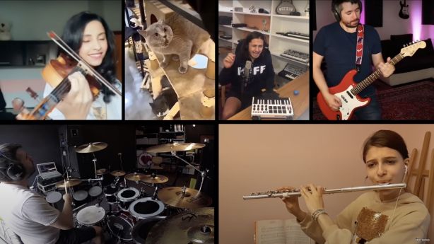 Angry Cat Inspires Musicians From Around the World