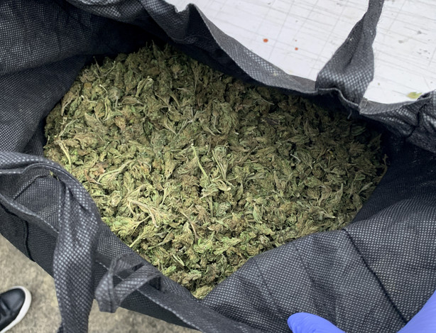 In this undated photo supplied by the New Zealand police, a bag of marijuana is displayed during a police raid as part of Operation Trojan. Authorities in Australia and New Zealand said Tuesday, June 8, 2021, they've dealt a huge blow to organized crime after hundreds of criminals were tricked into using a messaging app that was being secretly run by the FBI. (New Zealand Police via AP)
