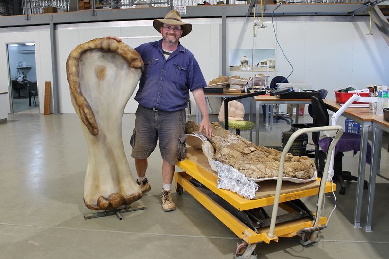 Dr. Scott Hocknull poses with a 3D reconstruction and the humerus bone of "Cooper," a new species of dinosaur discovered in Queensland and recognised as the largest ever found in Australia, in this undated handout image made available to Reuters on June 8, 2021 in Eromanga, Australia. Eromanga Natural History Museum/Handout via REUTERS