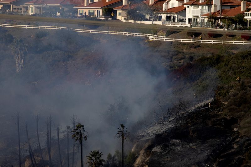 FILE PHOTO: Firefighters battle the wind driven wildfire in Carlsbad, California, U.S., January 20, 2021. REUTERS/Mike Blake