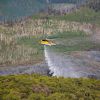 Wildfire updates: Bear Fire in Carbon County grows to 11,649 acres, 30% contained