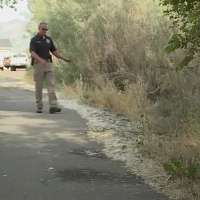 Weber County authorities seek public's help to identify arson suspects