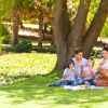 10 of the top Utah picnic places for the nitpicky