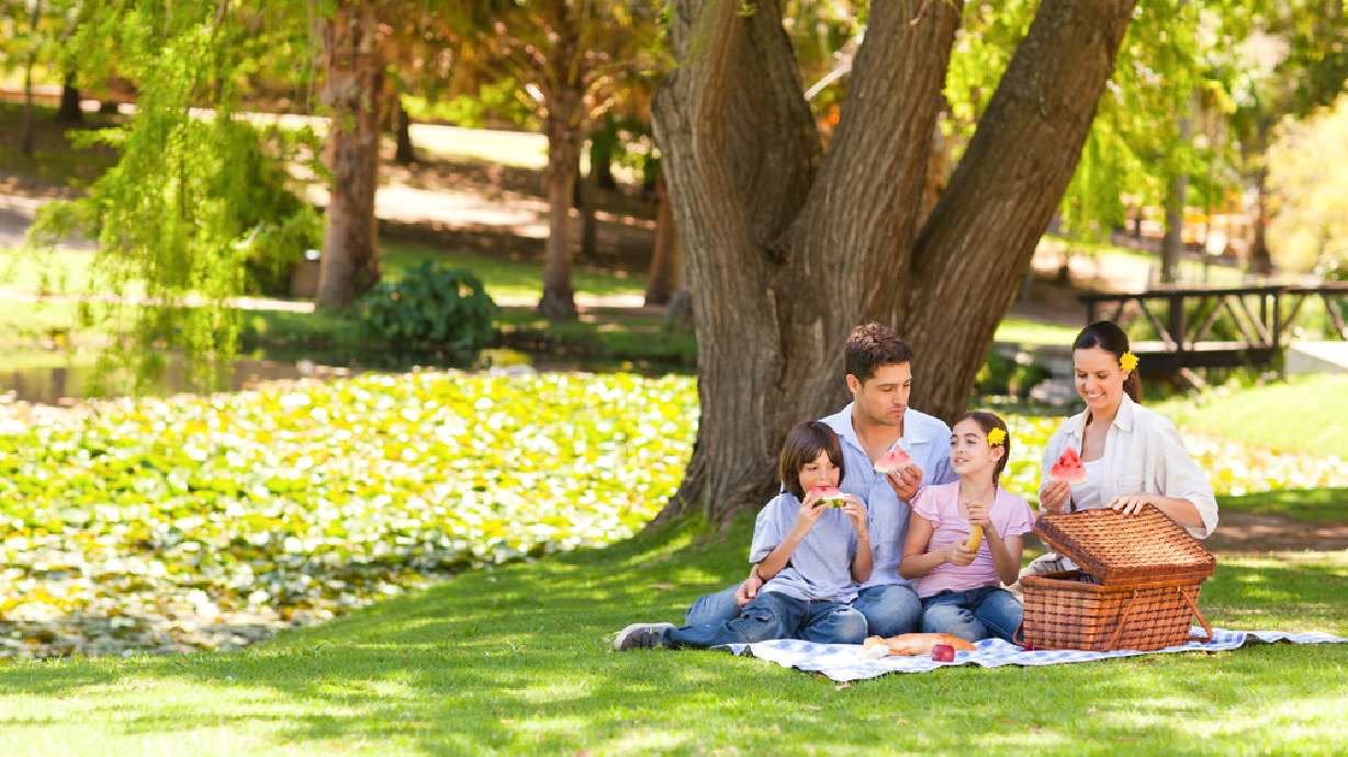 10 of the top Utah picnic places for the nitpicky