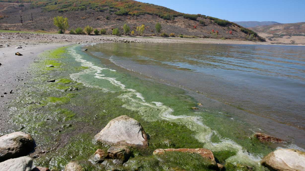 An 18-year-old man is dead after drowning at Deer Creek State Park on Sunday.