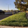 Should Utah enact Nevada-like lawn restrictions?