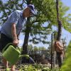 How Salt Lake community gardens plan to keep feeding families during drought