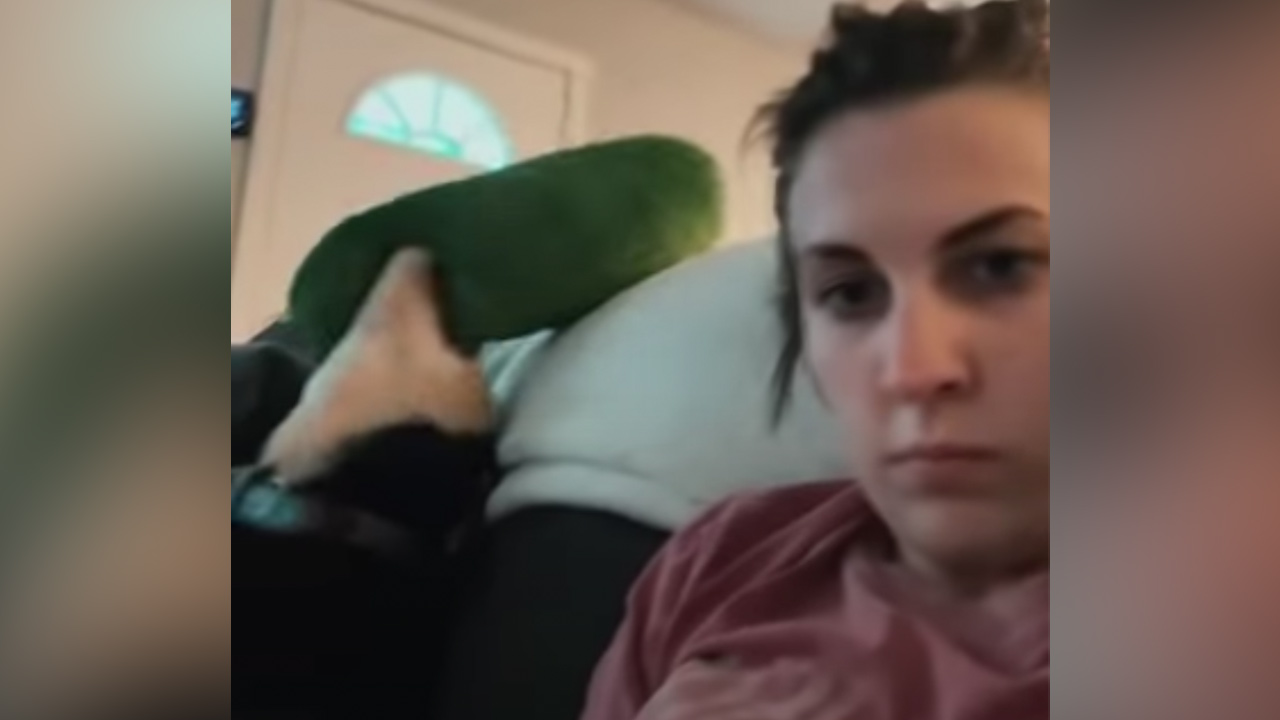 Have You Seen This? Dog accidentally destroys human with squeaky toy