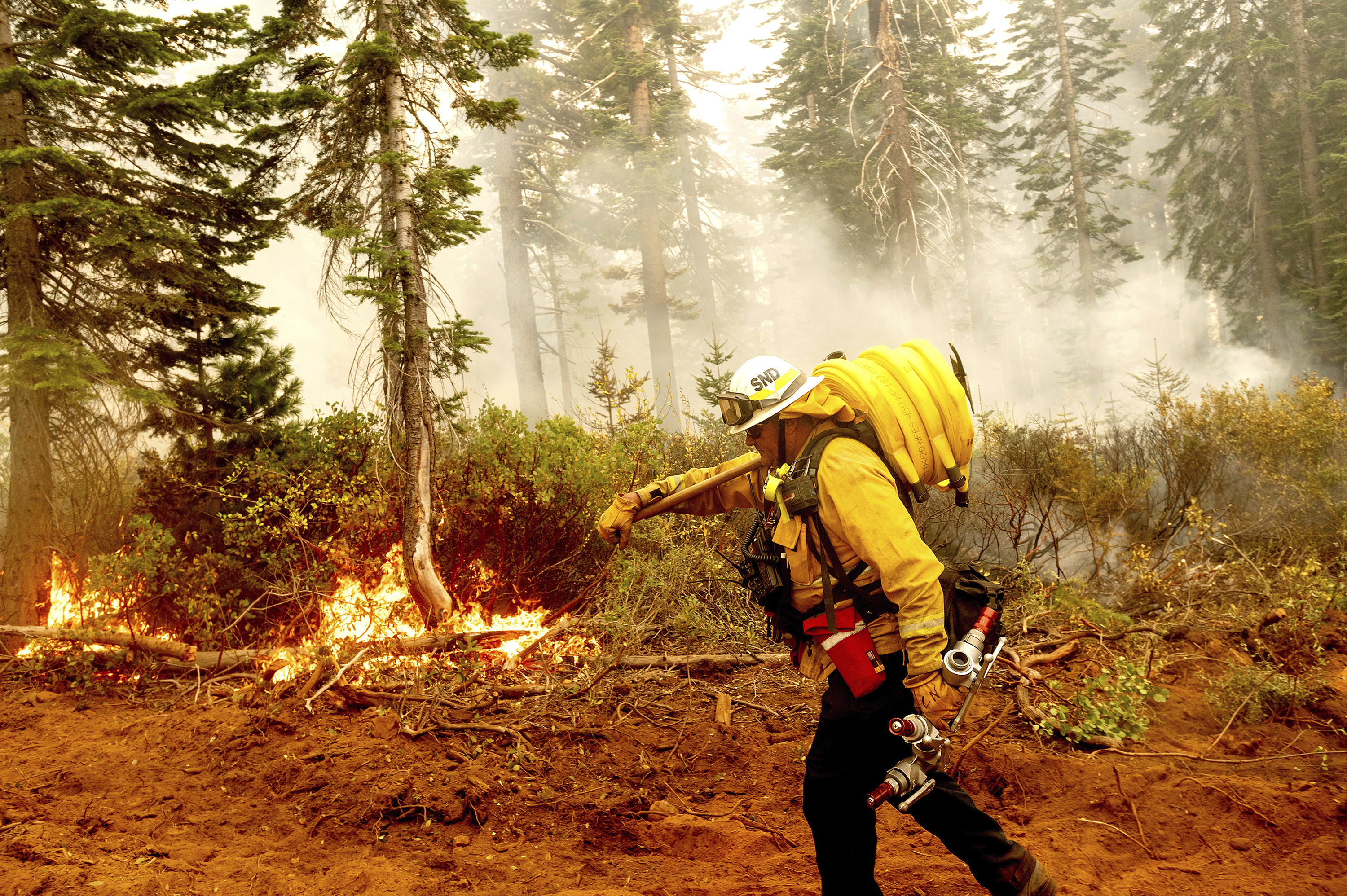 Cal Fire Battalion Chief Craig Newell carries a hose while battling a blaze in Plumas National Forest, Calif., on Sept. 14, 2020. U.S. wildfire managers are considering shifting from seasonal firefighting crews to full-time, year-round crews to deal with what has become a year-round wildfire season and to make wildland firefighting jobs more attractive by increasing pay and benefits.