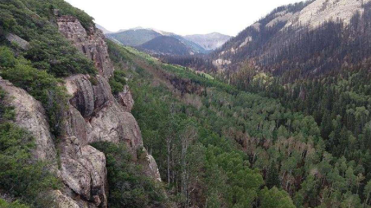 The Pack Creek Fire, burning in the La Sal Mountains in northern San Juan County, is seen burning on Monday, June 28, 2021.