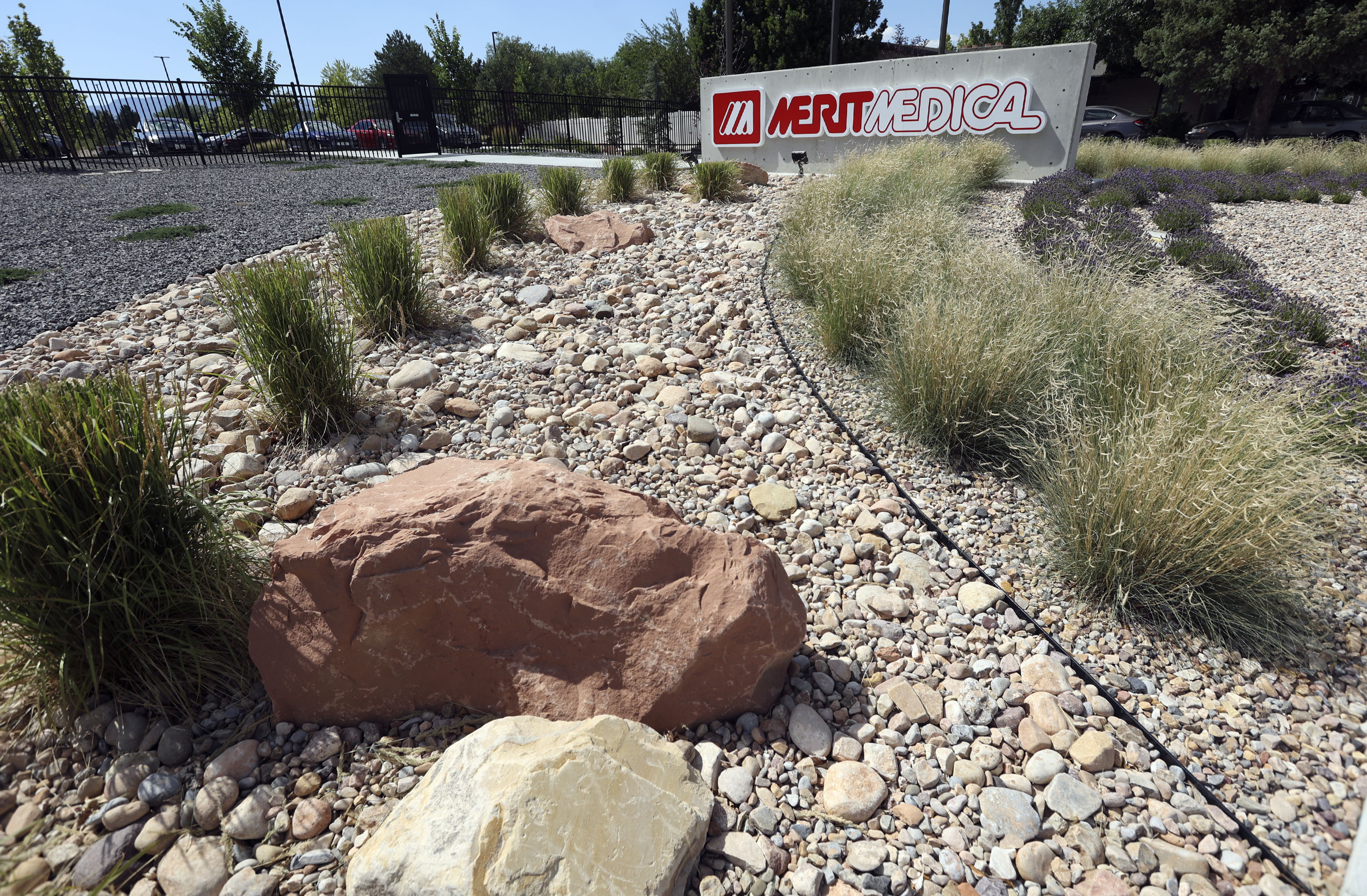 Water-efficient landscaping and rockscapes at Merit Medical are pictured in South Jordan on Monday, June 28, 2021.