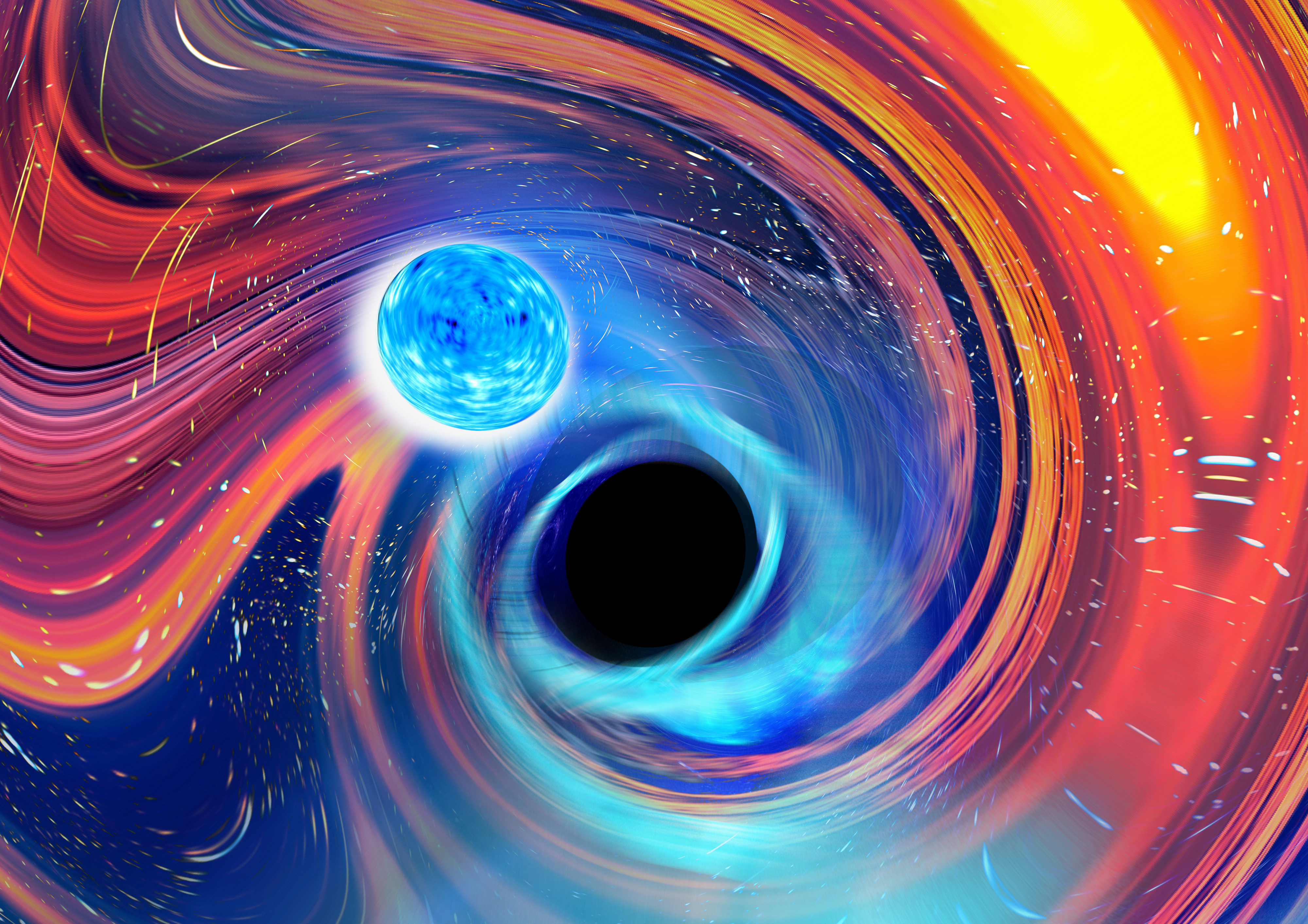 This illustration provided by Carl Knox depicts a black hole, center, swallowing a neutron star, upper left. The blue lines are gravitational waves, ripples in time and space, which is how astronomers detected the merger, and orange and red areas indicate parts of the neutron star being stripped away.