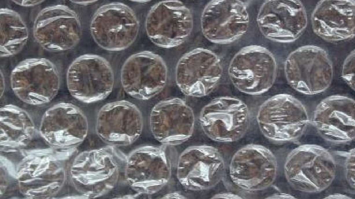 Utahns Chosen for Elite Group of Young Inventors