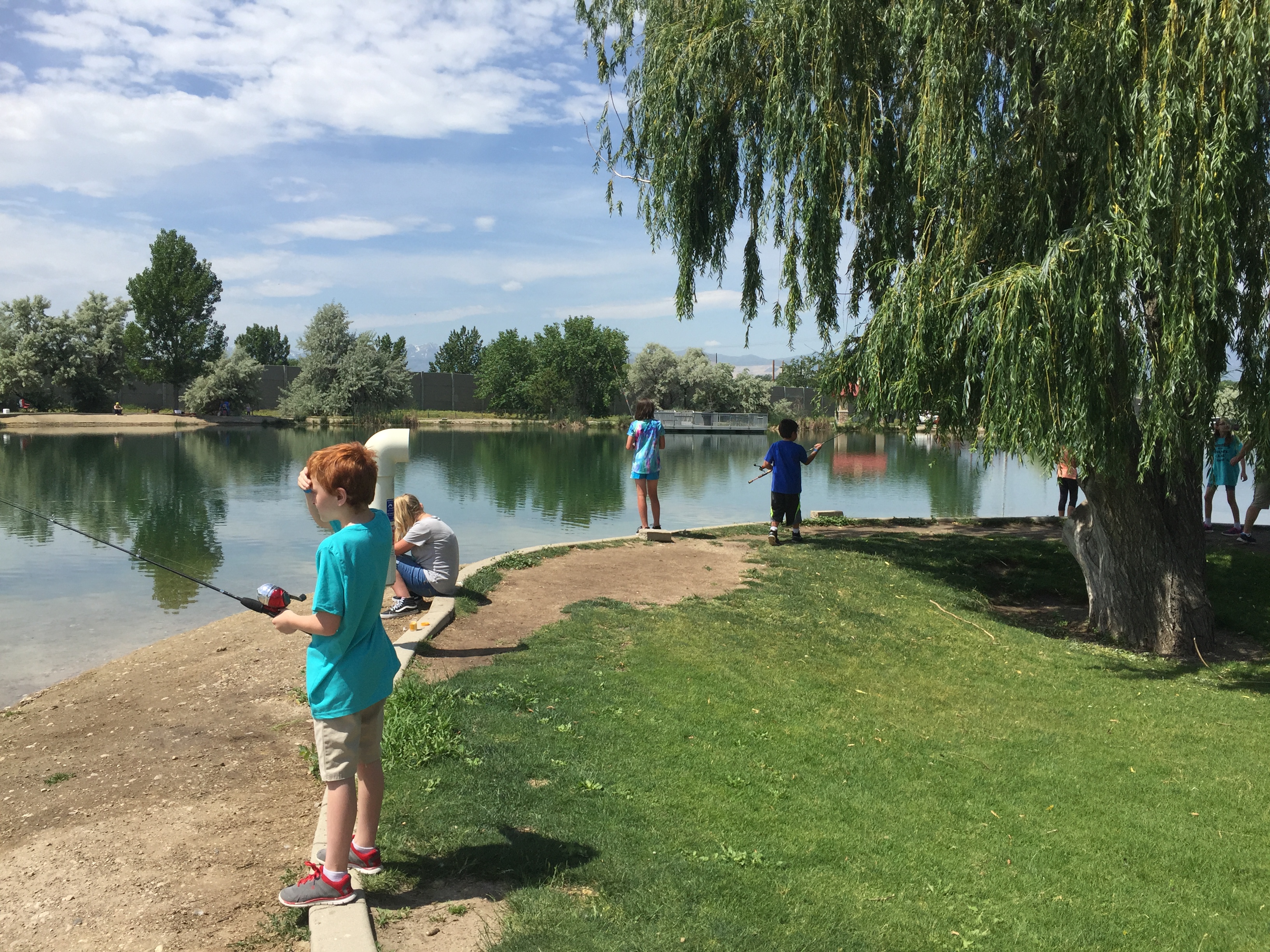 Children fish at Willow Pond in Murray in this undated photo provided by the Utah Division of Wildlife Resources. The division is now allowing anglers to keep two additional trout from Thursday, July 1 through Aug. 31, 2021, to account for lower, warmer water levels across the state.