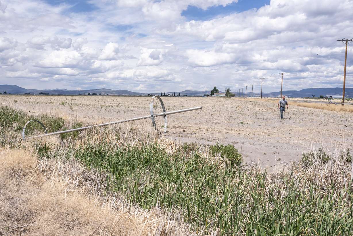 Ben DuVal walks past a dry irrigation pipe in a field he had rented for crops but was unable to plant due to the water shortage, on June 9, 2021, in Tulelake, Calif.