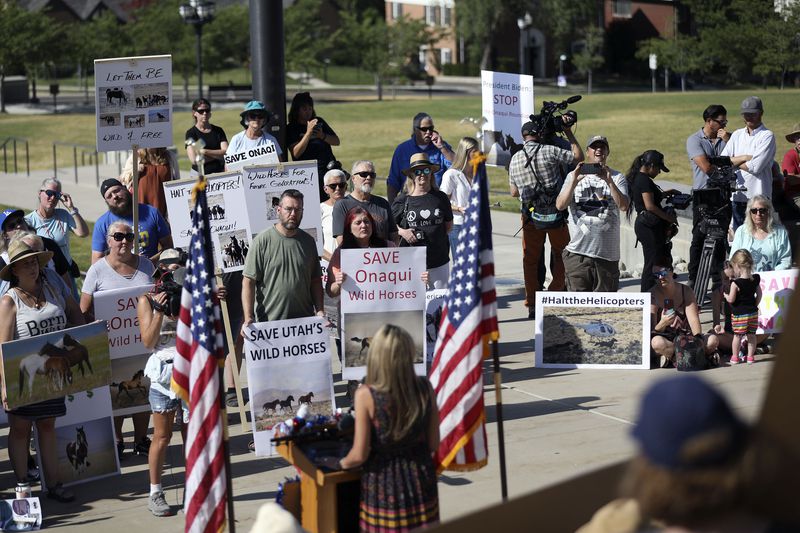 People attend the Wild Horse and Burro Freedom Rally at
the Capitol in Salt Lake City on Friday, July 2, 2021. The rally
aimed to raise public awareness of the plight of Utah’s Onaqui wild
horses, which face a helicopter roundup beginning July
12.