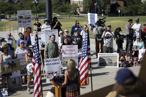 People attend the Wild Horse and Burro Freedom Rally at
the Capitol in Salt Lake City on Friday, July 2, 2021. The rally
aimed to raise public awareness of the plight of Utah’s Onaqui wild
horses, which face a helicopter roundup beginning July
12.