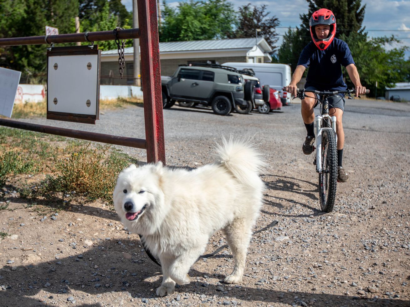 Carter Wessman, left, and Zoumie enter a section of the
Bonneville Shoreline Trail in Salt Lake City on Thursday, July 1,
2021.