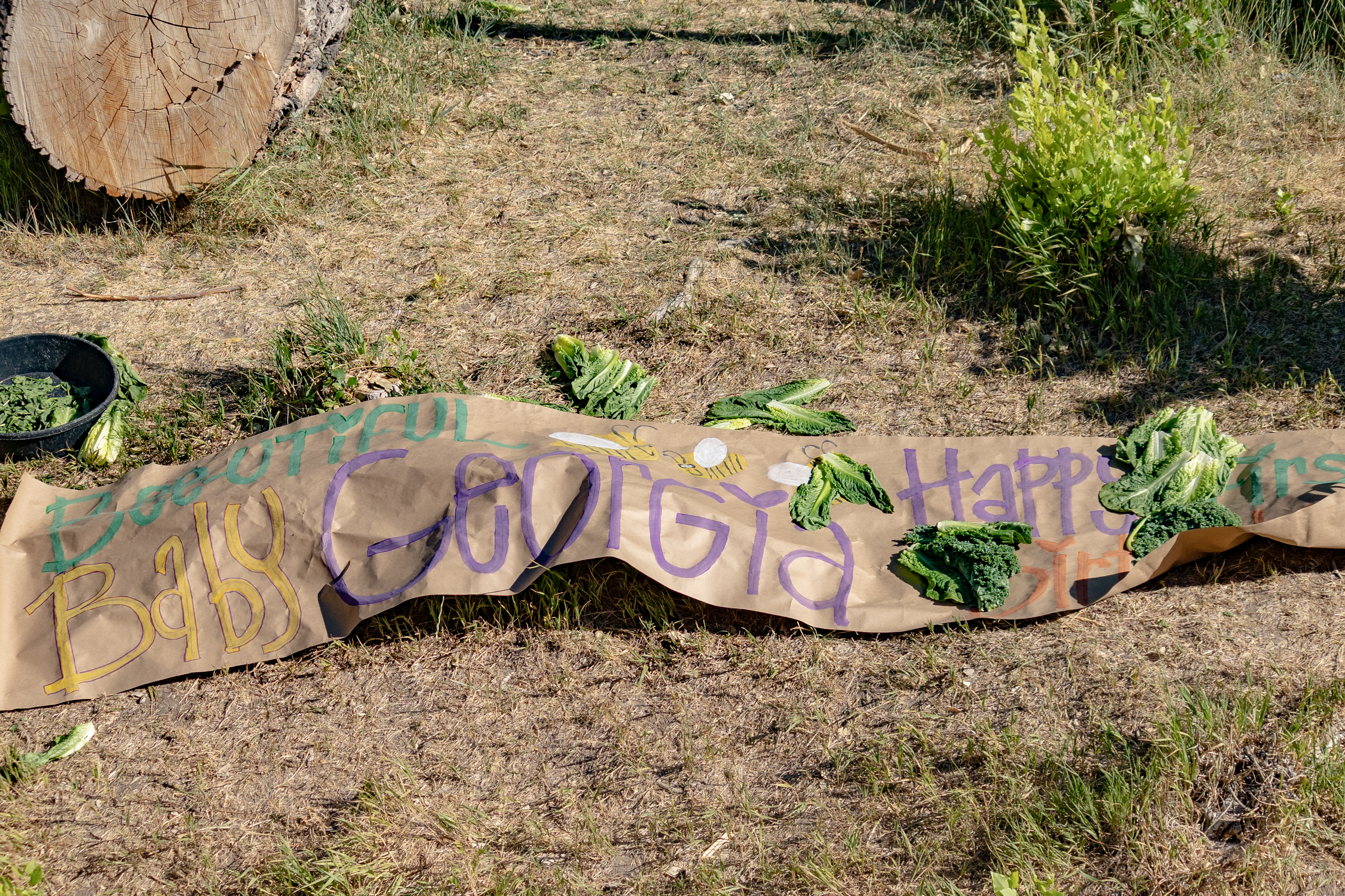 A birthday sign lays on the ground at the primate habitat at Utah's Hogle Zoo. The zoo's Western lowland gorilla celebrated it's first birthday on Tuesday, July 6, 2021.