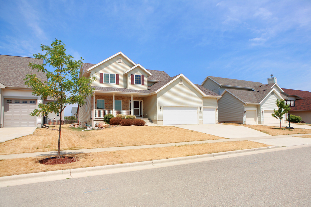 Your lawn isn't dead, despite how it might look