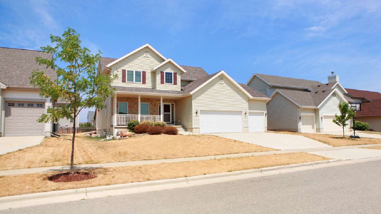 Your lawn isn't dead, despite how it might look