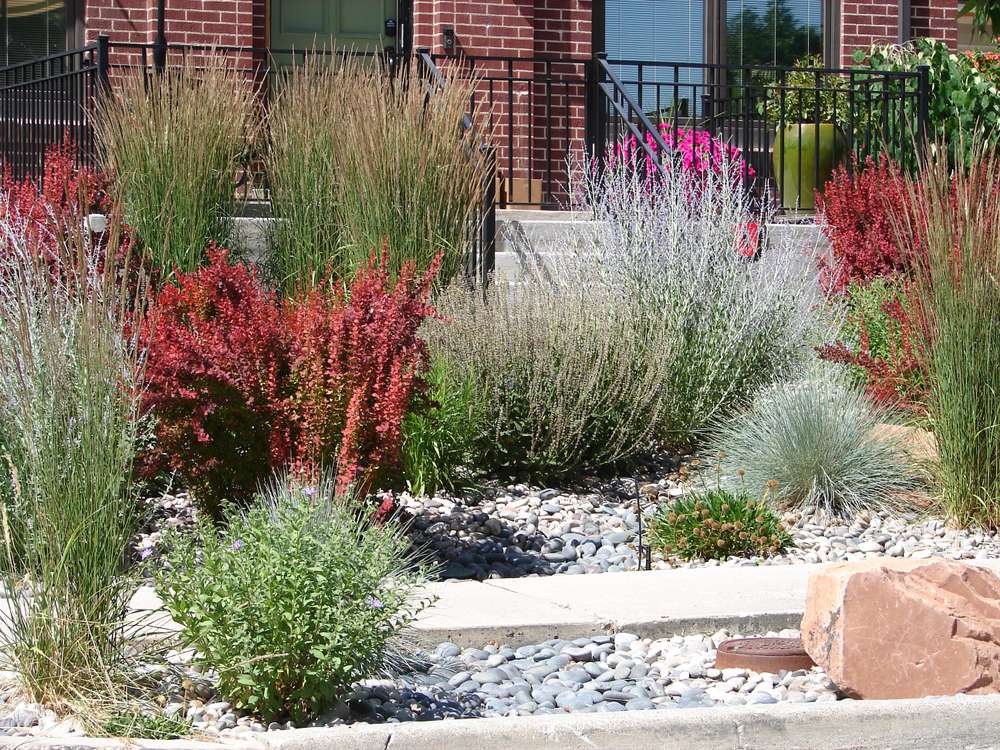 Your lawn isn't dead, despite how it might look