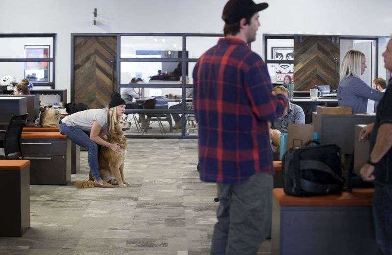 Traeger officer manager Grace Posey pets a co-worker’s
dog at the Sugar House office on Wednesday, Nov. 1,
2017.