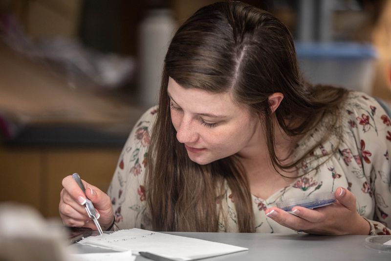 BYU doctoral student Alex Larson studies seeds in a lab
on the BYU campus in Provo on June 25, 2021.