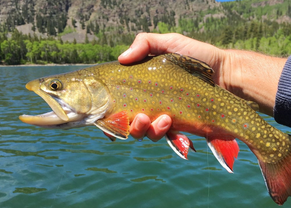 Utah adventures with Maverik: Escape the summer heat in Utah's high Uinta Mountains
