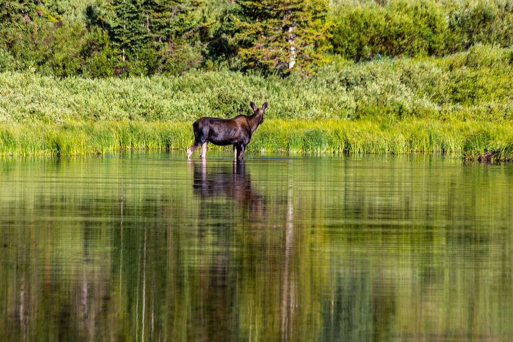 Utah adventures with Maverik: Escape the summer heat in Utah's high Uinta Mountains