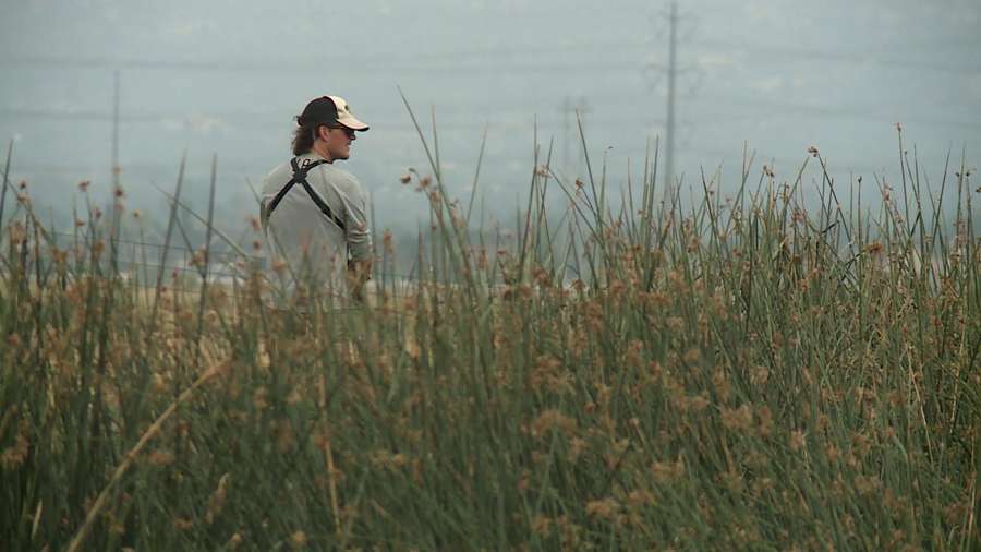 Abatement tech Trevor Larsen searches the wetlands at the southwest end of Davis County. Crews said the high temperatures were causing mosquitos to multiply.