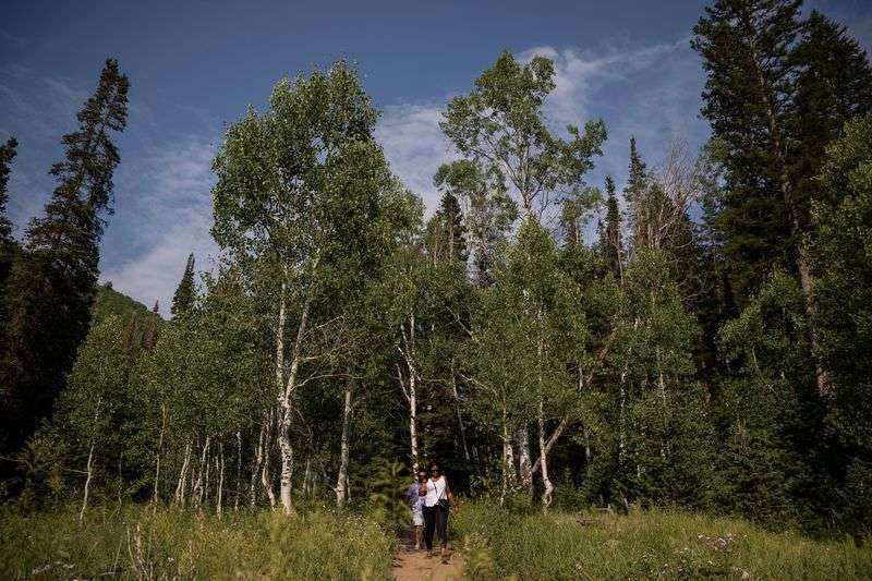 Jesse Arambula and Brandi Livingstone hike at the top
of Millcreek Canyon on Monday, July 12, 2021.