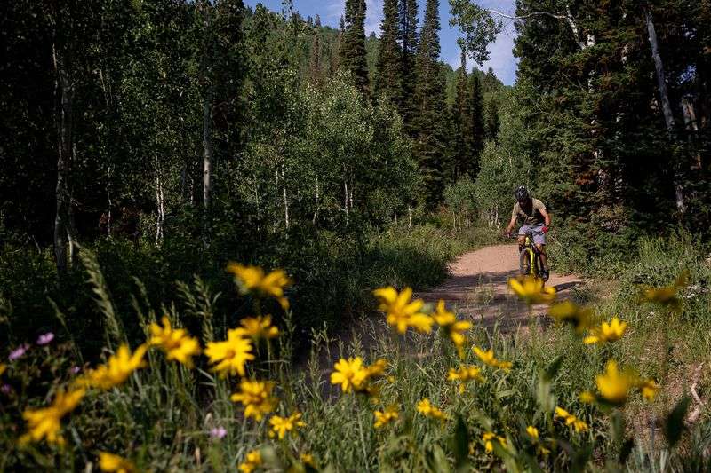 Jeff Stevens mountain bikes in Millcreek Canyon on
Monday, July 12, 2021.