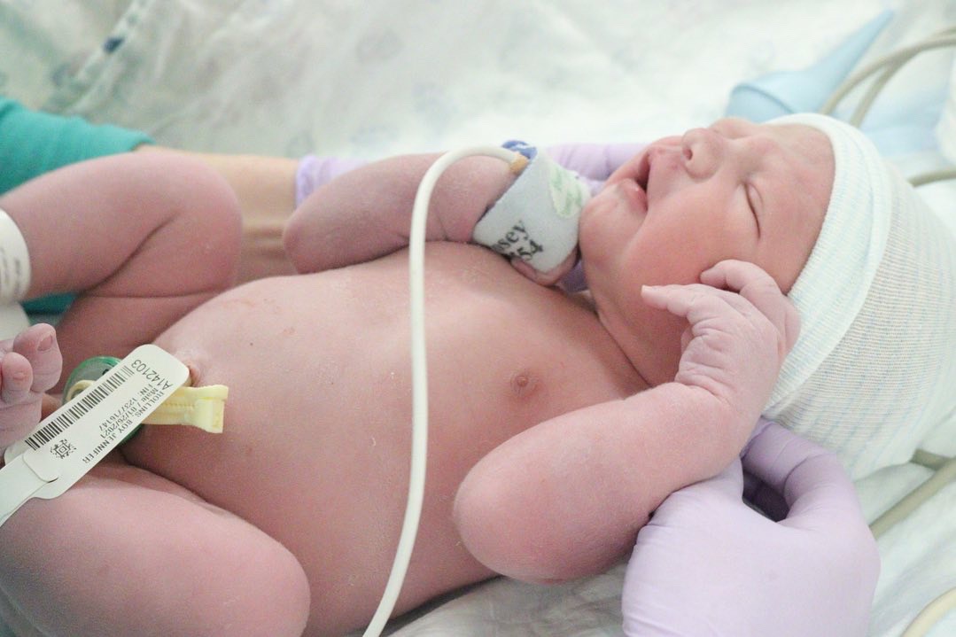 Jenny Rollins's son, James Rollins Nelson, was born at the Utah Valley Hospital in Provo, Utah, on January 26, 2021.