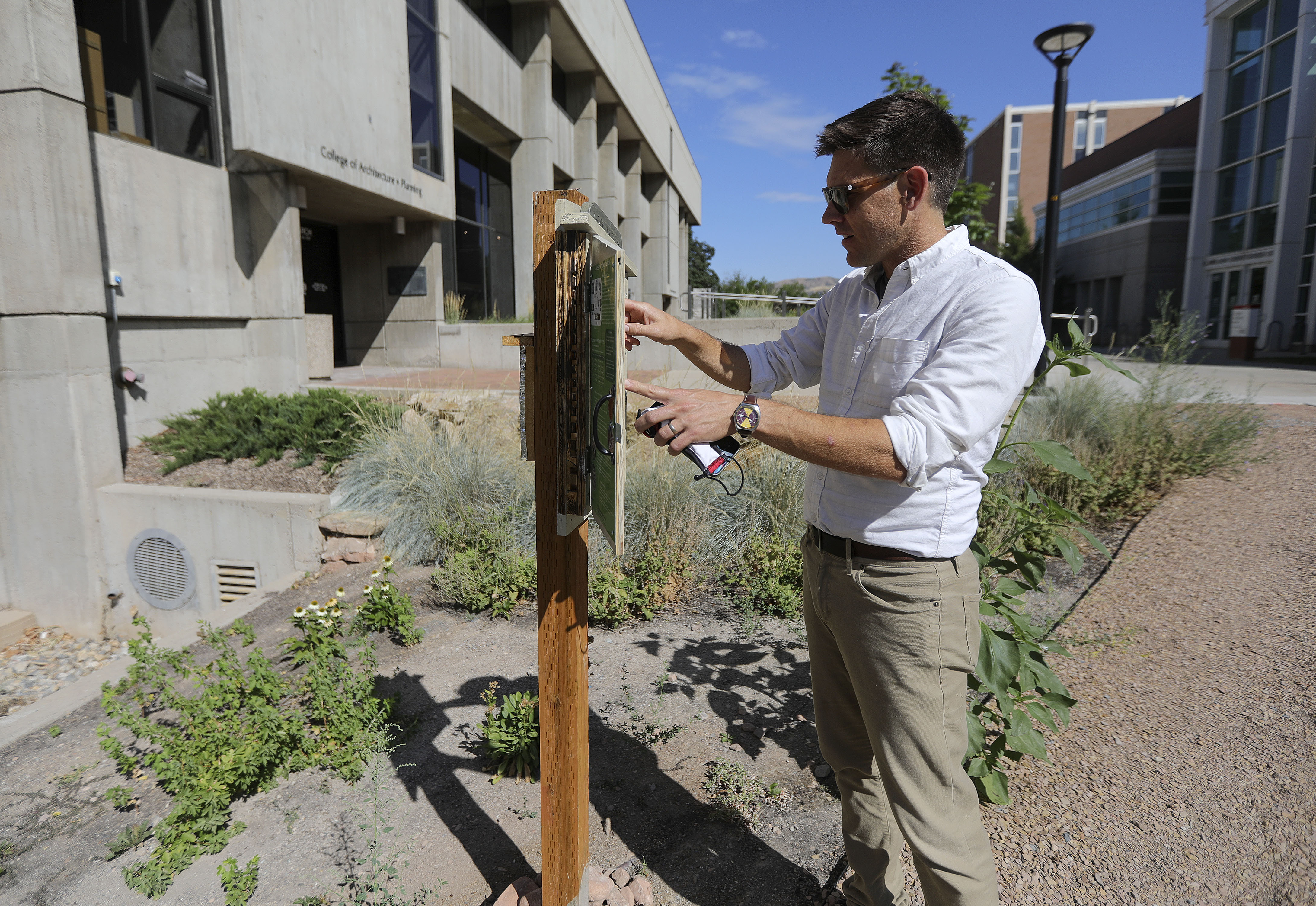 Josh Steffen, University of Utah biology professor, looks at bees in the Pollinator Conservation Garden at the U. in Salt Lake City on Tuesday, July 20, 2021. Steffen is collaborating with other researchers to study foraging behaviors of native bees.