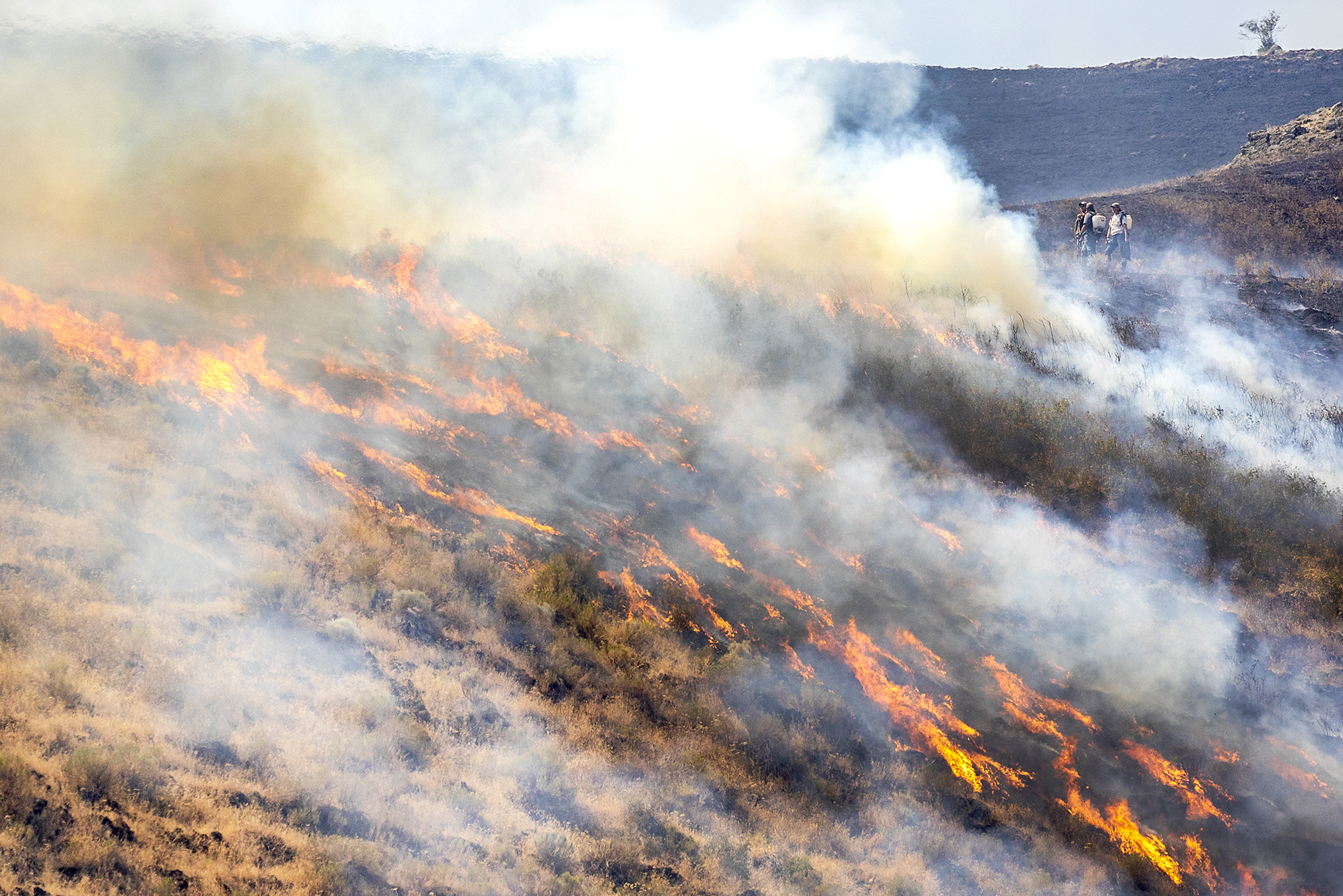 People stand behind the fire line as the flames spread through dry grasses at the Steptoe Canyon Fire Thursday, July 22, 2021 in Colton, Wash.