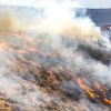 Western wildfires: Crews make progress on huge Oregon blaze