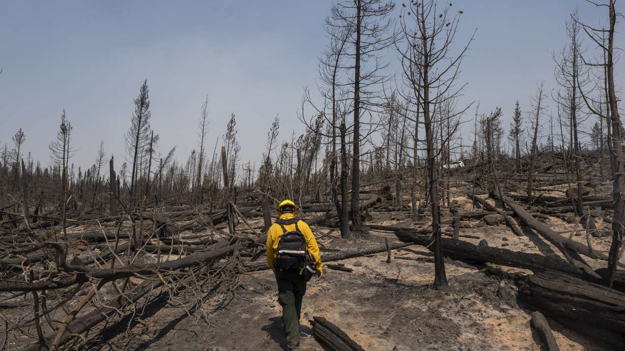 Marcus Kauffman, public information officer with the Bootleg Fire, walks through burn damage near the Northwest containment line on Friday, July 23, 2021, near Paisley, Oregon.
