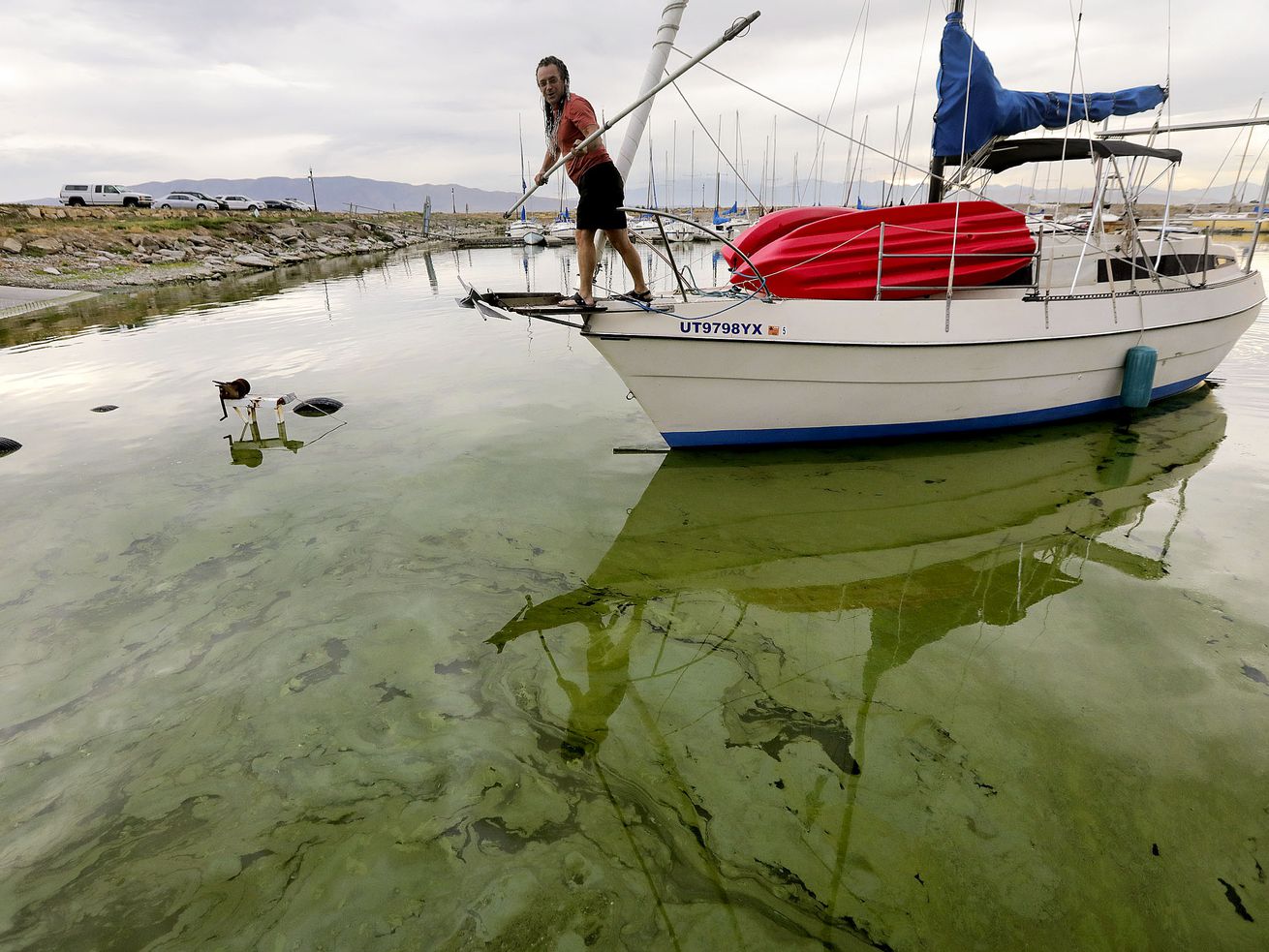 Jeff Mortensen guides the boat Odyssia through algal
blooms in Utah Lake toward a boat ramp at the Lindon Marina in
Vineyard on Monday, July 19, 2021.