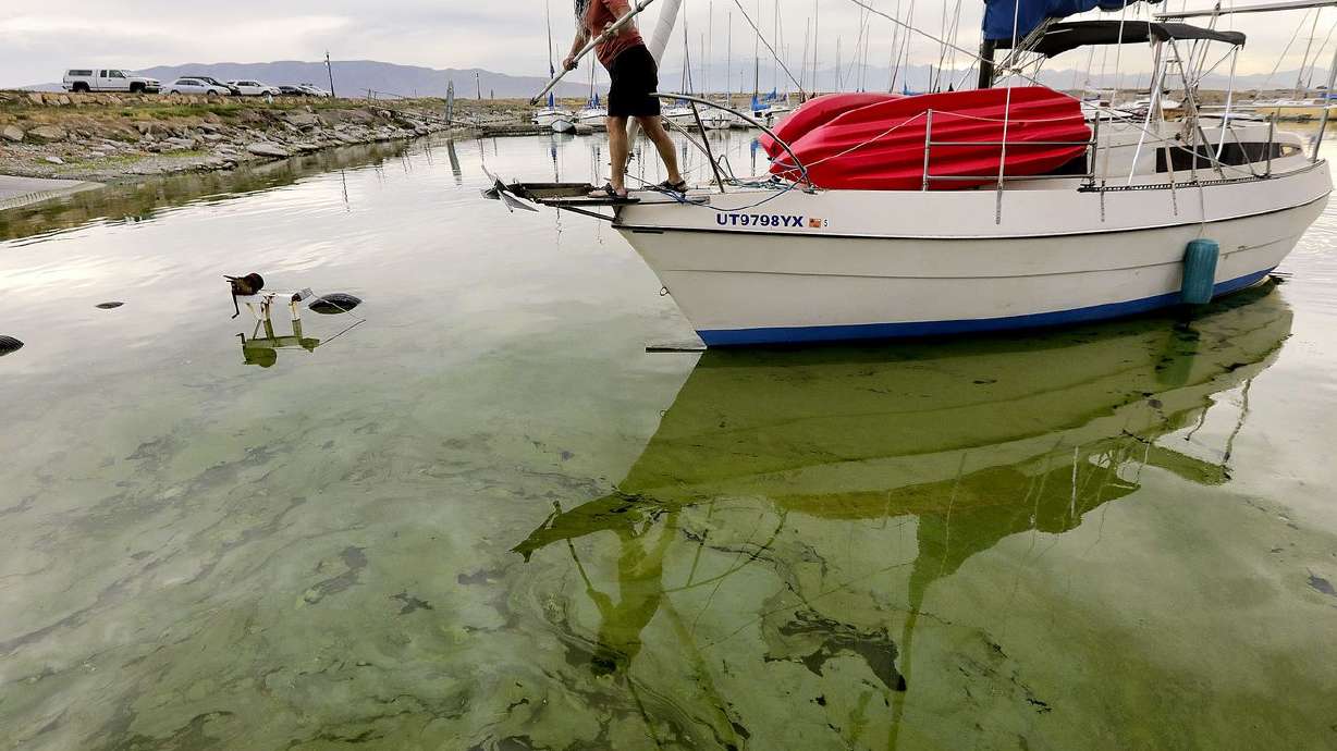 Jeff Mortensen guides the boat Odyssia through algal
blooms in Utah Lake toward a boat ramp at the Lindon Marina in
Vineyard on Monday, July 19, 2021.