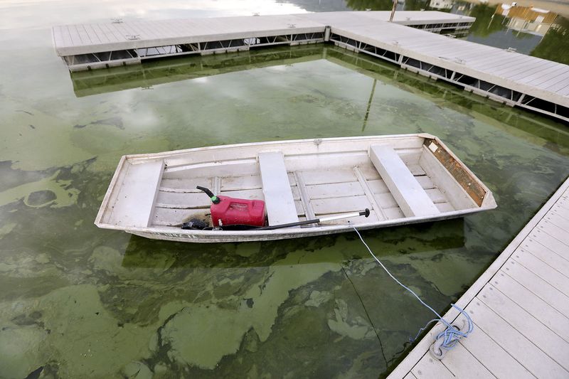 Algal blooms are pictured in Utah Lake at the Lindon
Marina in Vineyard on Monday, July 19, 2021.