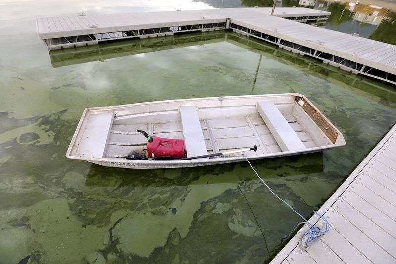 Algal blooms are pictured in Utah Lake at the Lindon
Marina in Vineyard on Monday, July 19, 2021.