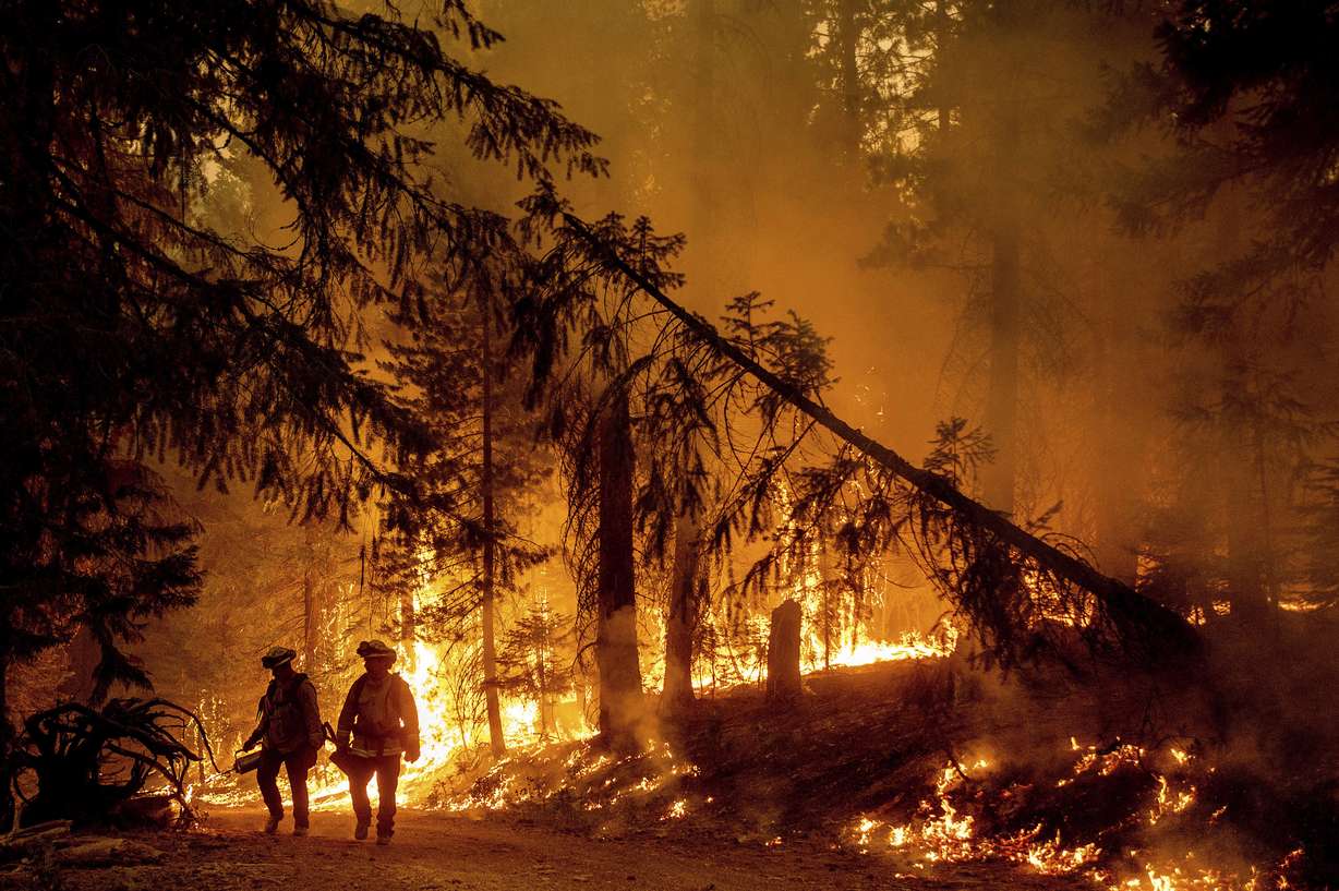 Firefighters light a backfire to stop the Dixie Fire from spreading near Prattville in Plumas County, Calif., on Friday, July 23, 2021.
