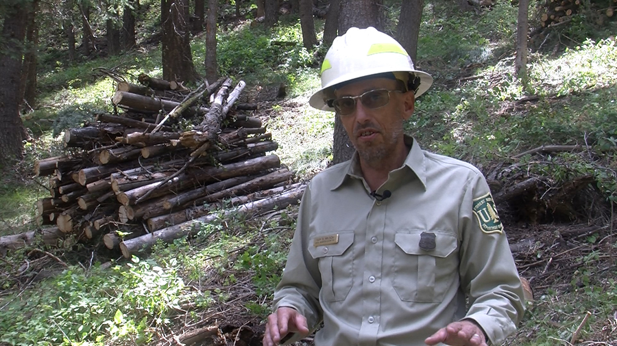Guy Wilson of the US Forest Service is heading up a project clearing dead brush from some areas in the steep terrain of the Wasatch Front in hopes that future fires will be far less destructive.